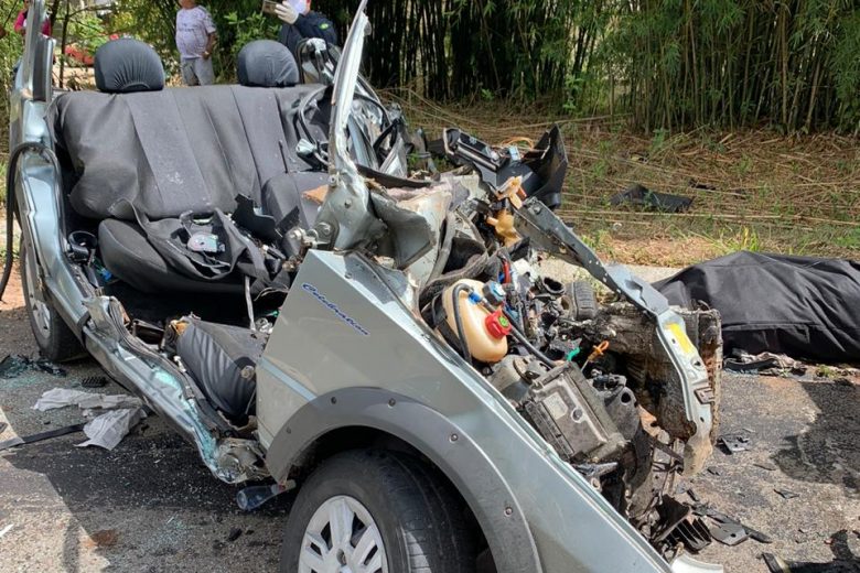 Motorista morre ao bater de frente caminhão na BR 267