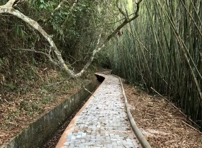 Parque Ribeirão São José 