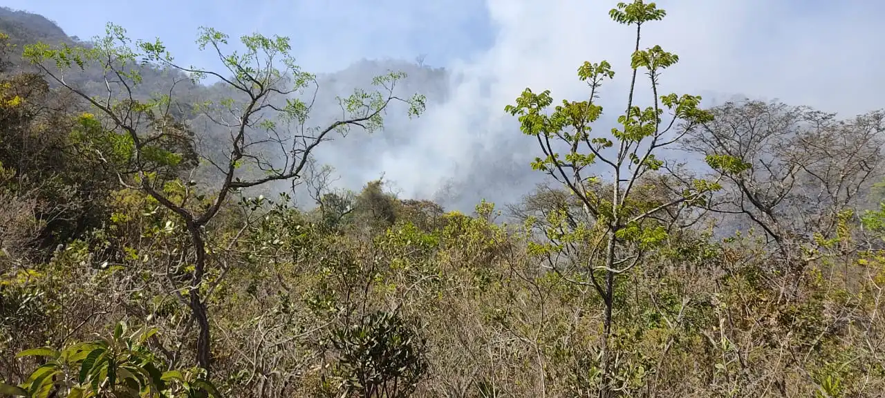 Bombeiros combatem incêndio na Serra do São José