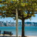 Créditos: depositphotos.com / inacioluc