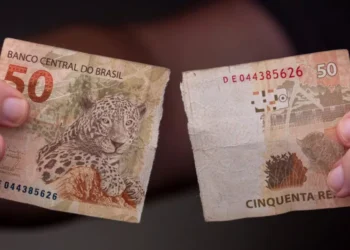 Créditos: Capitalist