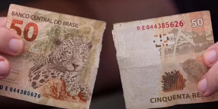 Créditos: Capitalist