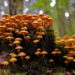 Créditos: depositphotos.com / girinux74