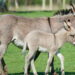 Créditos: depositphotos.com / DennisJacobsen