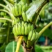 Créditos: Freepik
