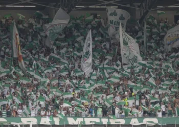 Créditos: Divulgação CBF
