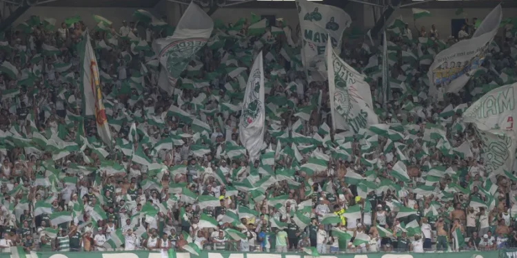 Créditos: Divulgação CBF