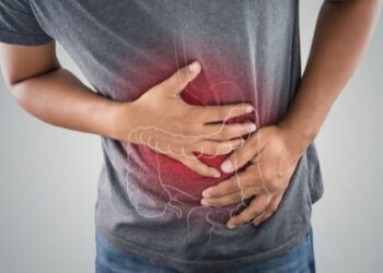 Créditos: Shutterstock