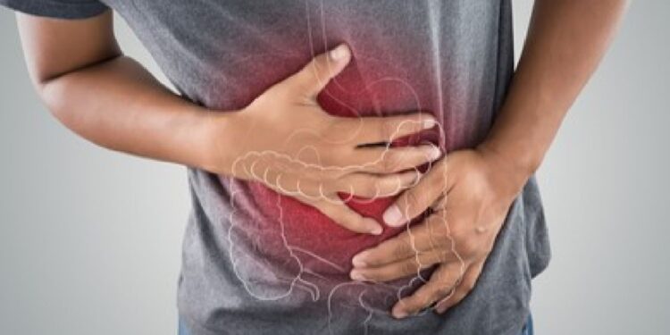 Créditos: Shutterstock