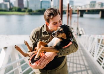 Créditos: Foto de Chewy na Unsplash