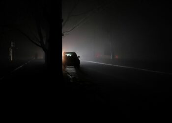 Créditos: Foto de Dmytro Vynohradov na Unsplash