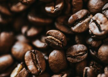 Créditos: Foto de Nathan Dumlao na Unsplash