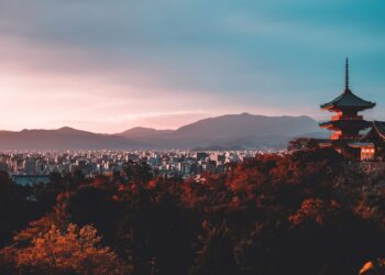 Créditos: Foto de Su San Lee na Unsplash