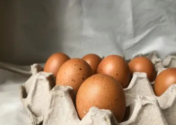 Créditos: Foto de Thoa Ngo na Unsplash