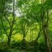Créditos: Foto de Aaron Katz na Unsplash