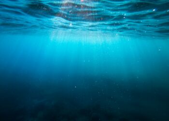 Créditos: Foto de Cristian Palmer na Unsplash