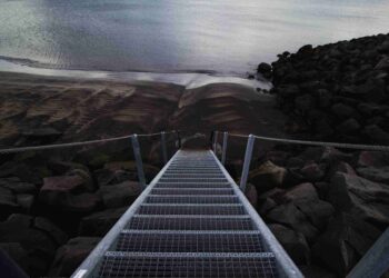 Créditos: Freepik/BiZkettE1