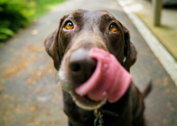 Créditos: Foto de James Barker na Unsplash