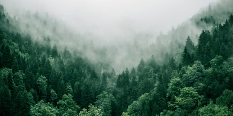Créditos: Foto de Marita Kavelashvili na Unsplash