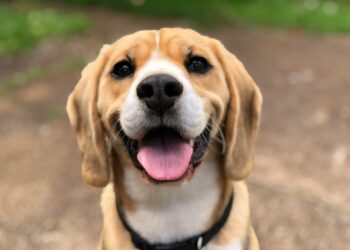 Créditos: Foto de Milli na Unsplash