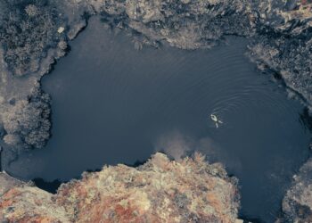 Créditos: Photo by Nick Russill on Unsplash
