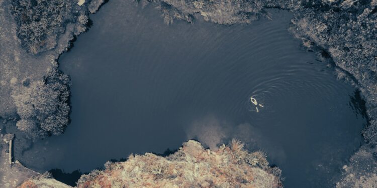 Créditos: Photo by Nick Russill on Unsplash