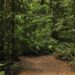 Créditos: Freepik/
travel-photography