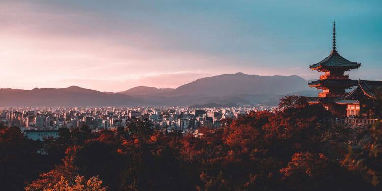 Créditos: Photo by Su San Lee on Unsplash