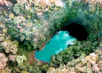 Créditos: Divulgação Parque Vila Velha