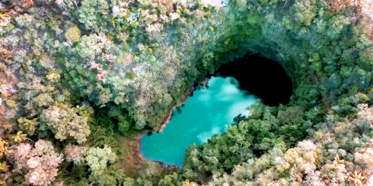 Créditos: Divulgação Parque Vila Velha