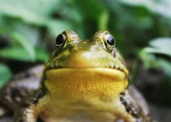 Créditos: Foto de Jack Hamilton na Unsplash