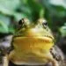 Créditos: Foto de Jack Hamilton na Unsplash