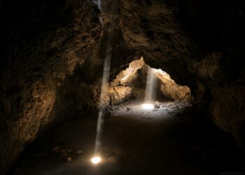Créditos: Foto de Joshua Sortino na Unsplash