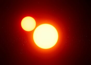 Créditos: Foto de Planet Volumes na Unsplash