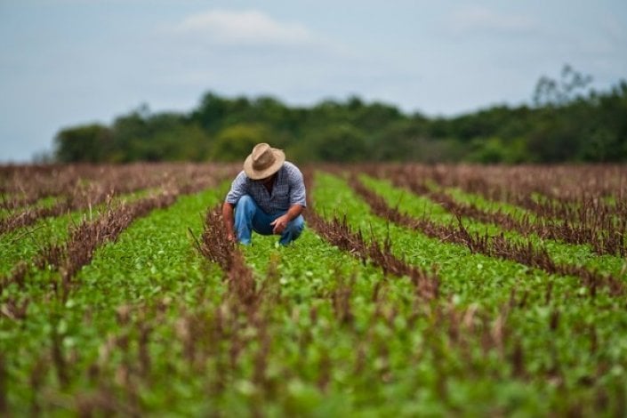 3.020 vagas: Senar oferece curso técnico gratuito em Agronegócio