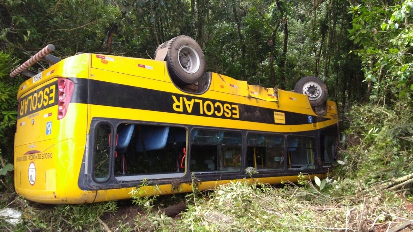 Ônibus que transportava romeiros cai de ribanceira no Sul de Minas