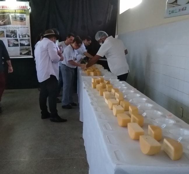 Evento em Conceição do Mato Dentro seleciona produtores de queijo para competição estadual