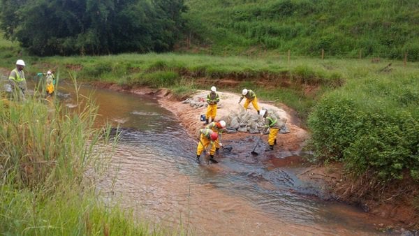 Anglo American conclui limpeza dos impactos causados por rompimentos em mineroduto