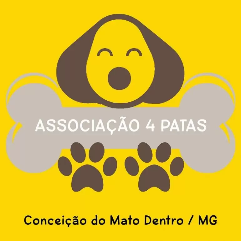 Associação “Quatro Patas” realiza trabalhos voluntários com cães de rua em Conceição do Mato Dentro