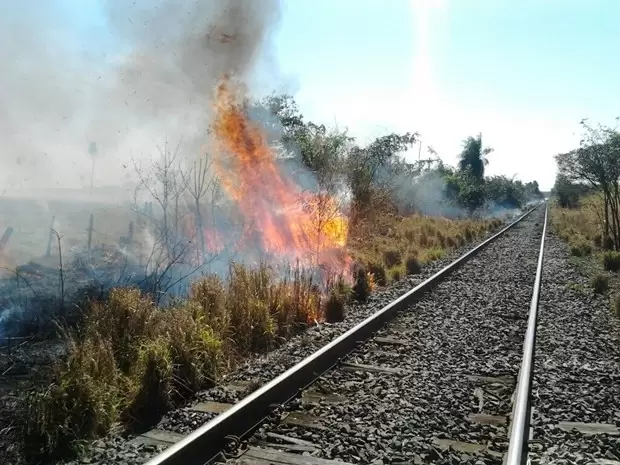 Vale promove campanha de combate às queimadas ao longo da ferrovia