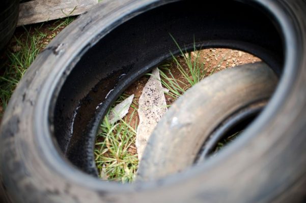 Prefeitura de Itabira notifica proprietários a manterem lotes limpos a partir desta quinta-feira