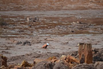 PF indicia Vale, Tüv Süd e 13 funcionários por tragédia em Brumadinho