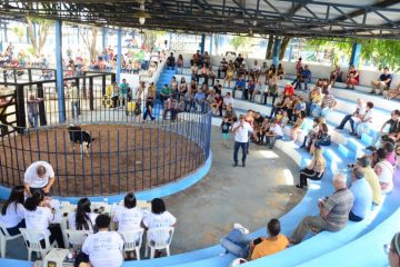 3º Leilão de Gado do HNSD arrecada mais de R$ 9 mil