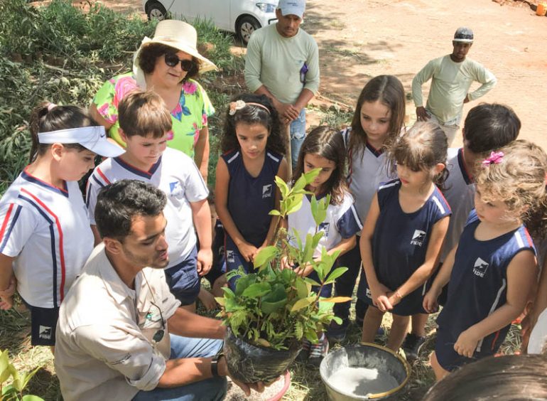 Estudantes realizam plantio de mudas no Parque do Intelecto e Pico do Amor