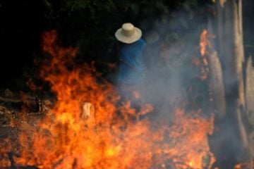 Monlevade registra aumento de focos de incêndio; saiba como denunciar