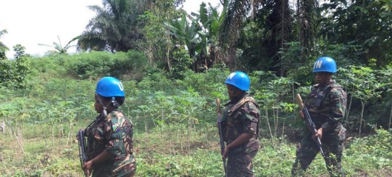 Militares brasileiros treinarão soldados de operação de paz na República Democrática do Congo Militares brasileiros treinarão soldados de operação de paz na República Democrática do Congo