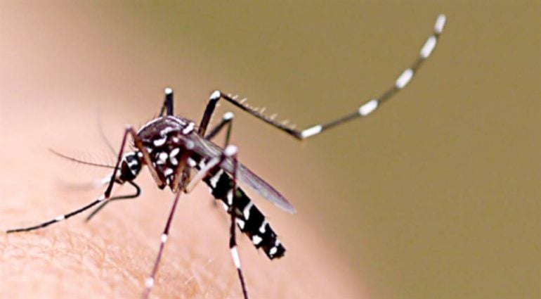 Bom Jesus do Amparo ocupa o 16º lugar no ranking de maior incidência de casos prováveis de dengue em Minas