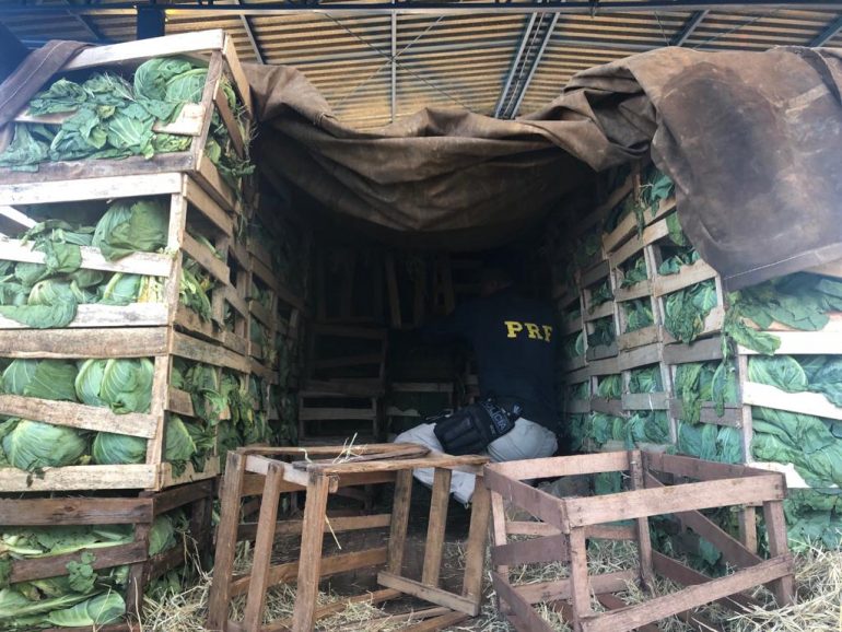 PRF apreende mais de três toneladas de maconha no Norte de Minas