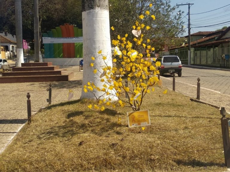 Bilhetes em árvore alertam para prevenção do suicídio em Dom Joaquim