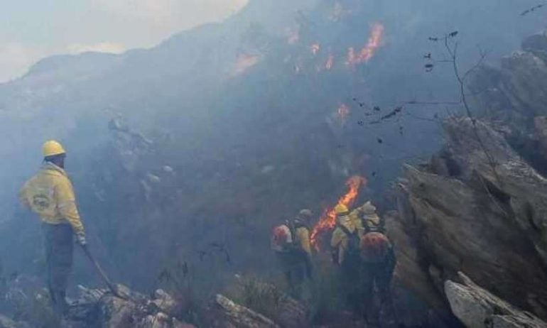 Incêndio fecha as portas do Parque Nacional da Serra do Cipó 